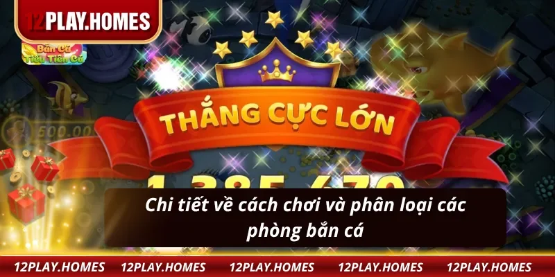 Cách chơi và phân loại phòng chơi game bắn cá tiểu tiên cá 