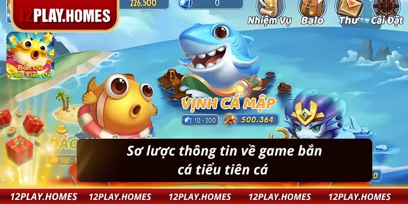 Đôi nét cơ bản về bắn cá tiểu tiên cá tại 12Play 
