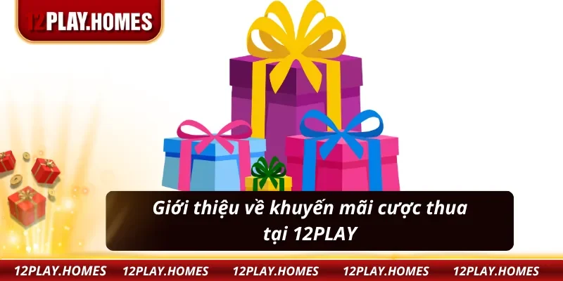 GIới thiệu khuyến mãi thua