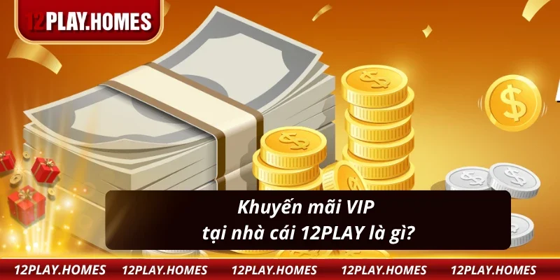 Tìm hiểu về Khuyến Mãi VIP